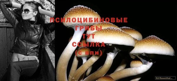 марки lsd Верхний Тагил