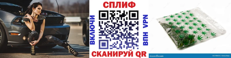 OMG зеркало  Кириши  darknet телеграм  Бошки Шишки SATIVA & INDICA 
